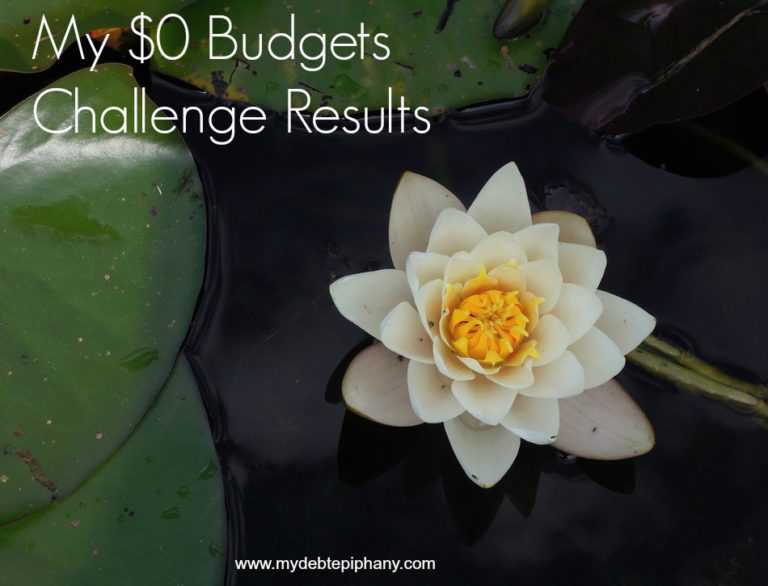 My $0 Budgets Challenge Results